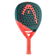 Head Radical Motion 2026