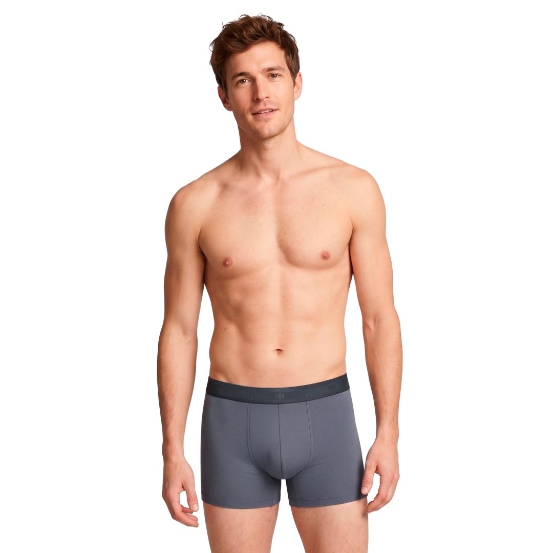 Impetus Plain Boxershorts (2-pak, Grey+Navy Blue)